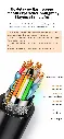 106.webp